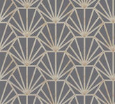 DANIEL HECH. PARATO TNT EFF. 3D